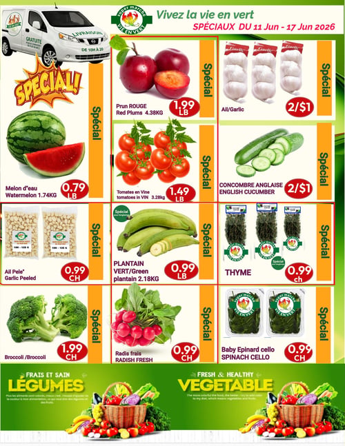 Marché Vie en Vert - Page 2. La page présente les spéciaux du 11 au 17 juin 2026, avec une offre de livraison gratuite pour les commandes de plus de 40 $, disponible de 10h à 20h. Les produits sont organisés en trois colonnes. On y trouve des prunes rouges à 1,99 $ la livre, de l'ail à 2 pour 1 $, et du melon d'eau à 0,79 $ la livre. Suivent les tomates en vigne à 1,49 $ la livre, le concombre anglais à 2 pour 1 $, et de l'ail pelé (100-125 g) à 0,99 $ chacun. Plus bas, le plantain vert est à 0,99 $ la livre, le thym à 0,99 $ chacun, et le brocoli à 1,99 $ chacun. Enfin, les radis frais sont à 0,99 $ chacun et les épinards bébé en cello à 0,99 $ chacun. La partie inférieure de la page est dédiée à une section "Frais et sain Légumes" encourageant à ajouter plus de couleurs à son alimentation avec des légumes et des fruits.