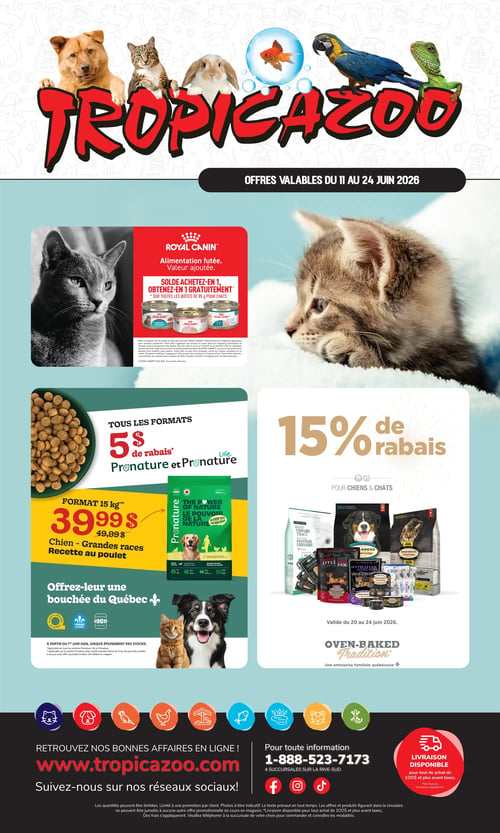 Circulaire Tropicazoo - Page 1. La page présente des offres valables du 11 au 24 juin 2026. En haut, le logo Tropicazoo est entouré d'un chien, un chat, un lapin, un poisson rouge, un perroquet et un lézard. La première offre met en vedette un chat gris et propose un solde Royal Canin : achetez-en 1, obtenez-en 1 gratuitement sur toutes les boîtes de 85 g pour chats. La deuxième offre, illustrée par un bol de croquettes et un sac de nourriture, annonce 5 $ de rabais sur tous les formats Pronature et Pronature Life. Un sac de 15 kg de nourriture pour chien grandes races, recette au poulet, est affiché à 39,99 $, prix régulier 49,99 $. Cette section met en avant des produits fabriqués au Québec. La troisième offre montre un chaton et divers sacs et boîtes de nourriture Oven-Baked Tradition, avec 15 % de rabais pour chiens et chats, valide du 20 au 24 juin 2026. Cette marque est présentée comme une entreprise familiale québécoise. En bas de page, des icônes d'animaux (chat, chien, oiseau, poisson, rongeur, reptile) accompagnent l'invitation à visiter www.tropicazoo.com et à suivre les réseaux sociaux. Les coordonnées incluent un numéro de téléphone (1-888-523-7173) et la mention de 4 succursales sur la Rive-Sud. La livraison est disponible pour tout achat de 100 $ et plus avant taxes.