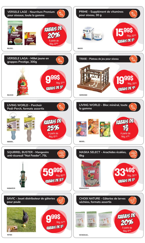 Circulaire Tropicazoo - Page 6. La page présente dix offres pour oiseaux et poules, organisées en grille. On y trouve la nourriture Premium Versele Laga pour oiseaux, toute la gamme, avec un rabais de 20 % à partir de 12,99 $. Le supplément de vitamines Prime pour oiseau de 30 g est à 15,99 $ (rég. 20,99 $), soit un rabais de 5 $. Le millet jaune en grappes Prestige Versele Laga de 300 g est à 9,99 $ (rég. 12,99 $), un rabais de 3 $. Le plateau de jeu Trixie pour oiseau est à 19,99 $ (rég. 28,99 $), un rabais de 9 $. Le perchoir Pedi-Perch Living World, en formats assortis, bénéficie d'un rabais de 25 % à partir de 10,49 $. Le bloc minéral Living World, toute la gamme, a un rabais de 1 $ à partir de 4,99 $. La mangeoire anti-écureuil Squirrel Buster de 75 L est à 59,99 $ (rég. 90,99 $), un rabais de 31 $. Les arachides écalées Maska Select de 8 kg sont à 33,49 $ (rég. 38,49 $), un rabais de 5 $. Le jouet distributeur de gâteries Savic pour poule est à 9,99 $ (rég. 14,99 $), un rabais de 5 $. Enfin, les gâteries de larves séchées Choix Nature, en formats assortis, ont un rabais de 20 % à partir de 6,99 $.