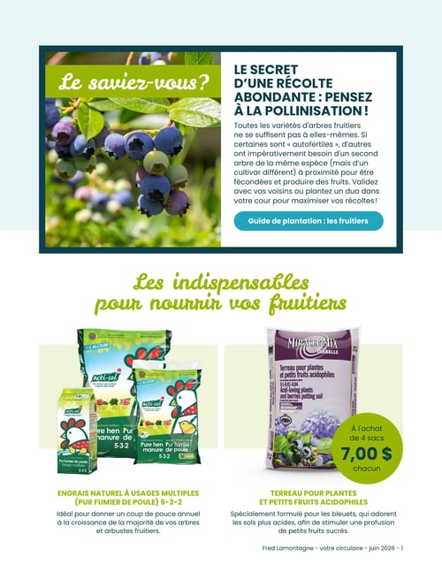 Circulaire Fred Lamontagne - Page 2. La page débute avec une section informative "Le saviez-vous?" illustrée par des bleuets, expliquant l'importance de la pollinisation pour une récolte abondante et proposant un "Guide de plantation : les fruitiers". La section suivante, "Les indispensables pour nourrir vos fruitiers", présente deux offres. À gauche, l'engrais naturel Acti-sol "Pur fumier de poule" 5-3-2 à usages multiples est montré en formats de 1,36 kg et 10 kg, idéal pour la croissance des arbres et arbustes fruitiers. À droite, le terreau Miracle Mix pour plantes et petits fruits acidophiles (8 kg / 32 L) est disponible à 7,00 $ chacun à l'achat de 4 sacs, formulé pour les bleuets et les sols acides.