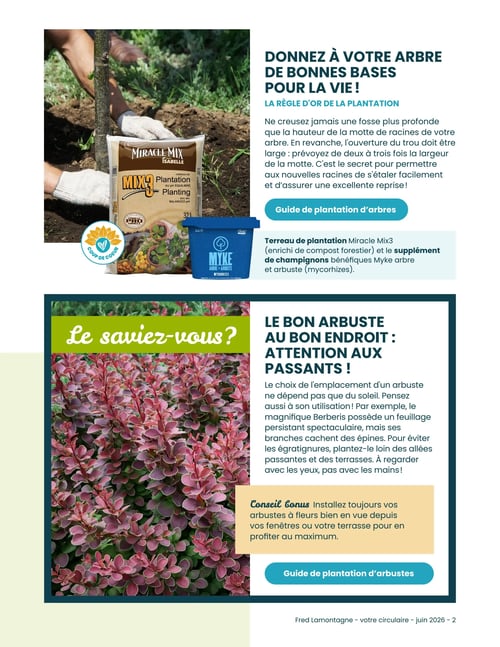 Fred Lamontagne - Page 3. La page est dédiée aux conseils de plantation d'arbres et d'arbustes. La section supérieure, intitulée "Donnez à votre arbre de bonnes bases pour la vie!", présente un sac de terreau de plantation Miracle Mix Isabelle de 32 L, un "Coup de cœur", et un contenant de supplément de champignons bénéfiques Myke pour arbres et arbustes (mycorhizes). Un bouton "Guide de plantation d'arbres" est visible. La section inférieure, intitulée "Le bon arbuste au bon endroit : attention aux passants!", montre une photo d'un arbuste Berberis aux feuilles rouges et offre des conseils sur le choix de l'emplacement. Un "Conseil bonus" suggère d'installer les arbustes à fleurs bien en vue. Un bouton "Guide de plantation d'arbustes" est également présent.
