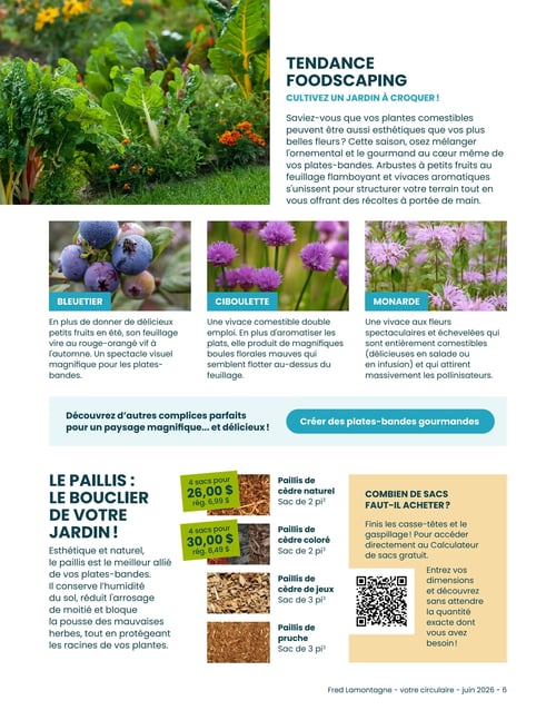 Circulaire Fred Lamontagne - Page 7. La page met en avant la "Tendance Foodscaping" pour cultiver un jardin à croquer, mélangeant l'ornemental et le gourmand. Trois plantes sont présentées : le bleuetier, qui donne des fruits et dont le feuillage vire au rouge-orangé vif à l'automne ; la ciboulette, une vivace comestible aux boules florales mauves ; et la monarde, une vivace aux fleurs spectaculaires et comestibles qui attire les pollinisateurs. Une section invite à "Créer des plates-bandes gourmandes". La page présente ensuite "Le paillis : Le bouclier de votre jardin!", soulignant ses bienfaits pour conserver l'humidité, réduire l'arrosage et protéger les racines. Les offres de paillis incluent : 4 sacs de paillis de cèdre naturel de 2 pi³ pour 26,00 $ (régulier 6,99 $ l'unité) ; et 4 sacs de paillis de cèdre coloré de 2 pi³ pour 30,00 $ (régulier 8,49 $ l'unité). Sont également disponibles le paillis de cèdre de jeux en sac de 3 pi³ et le paillis de pruche en sac de 3 pi³. Un encadré "Combien de sacs faut-il acheter?" propose un calculateur via un code QR pour déterminer la quantité exacte de sacs.