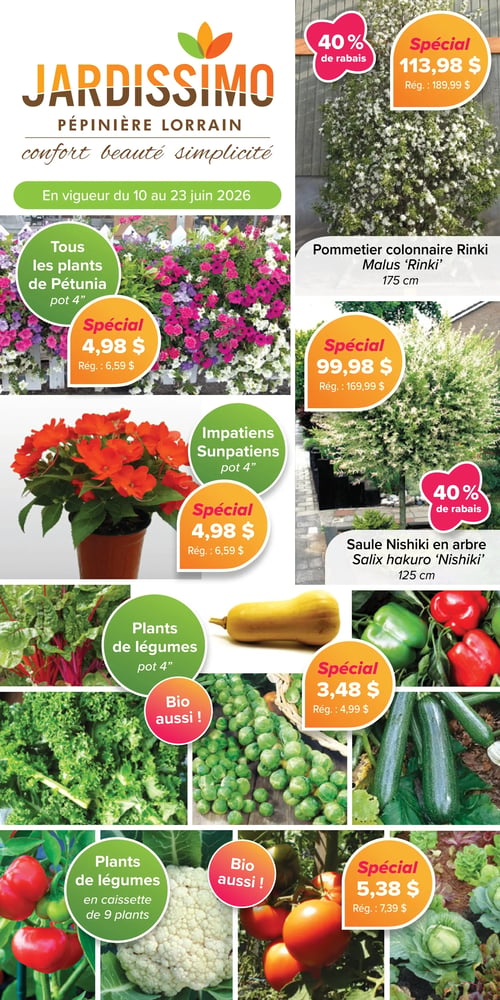 Circulaire Jardissimo - Page 1. Valide du 10 au 23 juin 2026. La page met en vedette des offres sur les plantes et arbres. En haut à droite, un pommetier colonnaire Rinki (Malus 'Rinki') de 175 cm est offert à 113,98 $, un rabais de 40 % sur le prix régulier de 189,99 $. En dessous, un saule Nishiki en arbre (Salix hakuro 'Nishiki') de 125 cm est à 99,98 $, également avec 40 % de rabais sur le prix régulier de 169,99 $. Sur la gauche, tous les plants de Pétunia en pot de 4 pouces sont à 4,98 $ chacun, au lieu de 6,59 $. Juste en dessous, les Impatiens Sunpatiens en pot de 4 pouces sont aussi à 4,98 $ l'unité, au lieu de 6,59 $. La partie inférieure de la page présente des plants de légumes. Les plants de légumes en pot de 4 pouces, incluant des options biologiques, sont à 3,48 $ (régulier 4,99 $). Enfin, les plants de légumes en caissette de 9 plants, également avec des options biologiques, sont à 5,38 $ (régulier 7,39 $).