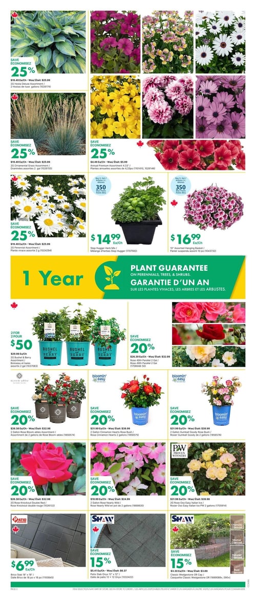 Circulaire Kent - Page 5. La page présente une variété de plantes et d'articles d'aménagement paysager. En haut, plusieurs assortiments de plantes sont offerts avec 25 % de rabais : des hostas de luxe de 2 gallons, des graminées ornementales de 2 gallons, des plantes annuelles de 4,33 pintes et des plantes vivaces de 2 gallons. Au centre, un mélange d'herbes Step Hugger est à 14,99 $ l'unité, et un panier suspendu assorti de 10 pouces est à 16,99 $ l'unité, avec 350 points bleus à l'achat de 2. Une bannière jaune et verte annonce une garantie d'un an sur les plantes vivaces, les arbres et les arbustes. Plus bas, l'assortiment de baies Bushel & Berry de 2 gallons est à 2 pour 50 $. Plusieurs variétés de rosiers sont en rabais de 20 % : le rosier 49th Parallel de 2 gallons, l'assortiment de rosiers Bloom-ables de 2 gallons, le rosier Cinnamon Hearts de 2 gallons, le rosier Gumball Goody de 2 gallons, le rosier Knockout Double Red de 2 gallons, le rosier Nearly Wild de 2 gallons et le rosier Oso Easy Italian Ice de 2 gallons. En bas de page, une dalle Brico de 18 po x 18 po est à 6,99 $ l'unité. Des dalles de patio Onyx de 12 po x 12 po sont offertes avec 15 % de rabais, ainsi que des casquettes ou couronnements Classic Wedgestone, également avec 15 % de rabais.