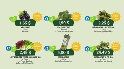 Circulaire Coop Alentour - Plus d'économies - Page 1