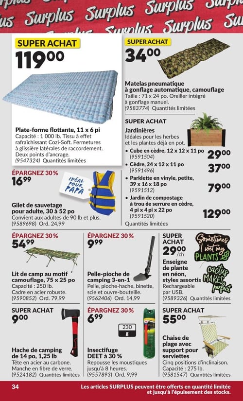 Circulaire Princess Auto - Page 38