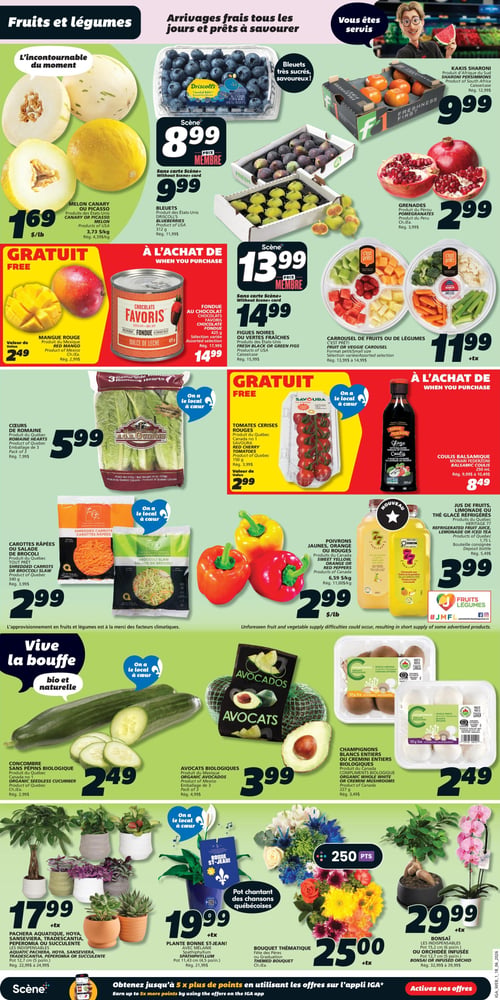 Circulaire IGA - Page 5. La page "Fruits et légumes" présente plusieurs offres. On y trouve le melon Canary ou Picasso à 1,69 $ la livre. Les bleuets Driscoll's de 312 g sont à 8,99 $ avec la carte Scène+ ou 9,99 $ sans carte. Les kakis Sharoni sont offerts en caisse à 9,99 $. Les figues noires ou vertes sont à 13,99 $ avec la carte Scène+ ou 14,99 $ sans carte. Les grenades du Pérou sont à 2,99 $ chacune. À l'achat, obtenez une mangue rouge du Mexique, d'une valeur de 2,49 $, et la fondue au chocolat Favoris, sélection variée de 425 g, à 14,99 $. Le carrousel de fruits ou de légumes C'est Prêt!, format petit, est à 11,99 $. Les cœurs de romaine du Québec en emballage de 3 sont à 5,99 $. Les tomates cerises rouges Savoura du Québec de 150 g ont une valeur de 2,99 $. Le coulis balsamique Monari Federzoni de 250 ml est à 8,49 $. Les carottes râpées ou la salade de brocoli du Québec de 340 g sont à 2,99 $. Les poivrons jaunes, orange ou rouges du Canada sont à 2,99 $ la livre. Les jus de fruits, limonade ou thé glacé réfrigérés Heritage 77 du Québec de 1,75 L sont à 3,99 $. Le concombre sans pépins biologique du Québec est à 2,49 $ chacun. Les avocats biologiques du Mexique en emballage de 3 sont à 3,99 $. Les champignons blancs entiers ou cremini entiers biologiques du Canada de 227 g sont à 2,49 $. Pour les plantes, la pachera aquatique, Hoya, Sansevieria, Tradescantia, Peperomia ou succulente en pot de 12,7 cm (5 po) est à 17,99 $. La plante Bonne St-Jean! avec Mélanie Spathiphyllum en pot de 11,43 cm (4,5 po) est à 19,99 $. Un bouquet thématique est à 25,00 $. Un bonsaï ou une orchidée infusée est à 29,99 $. Une note indique que l'approvisionnement en fruits et légumes est à la merci des facteurs climatiques.
