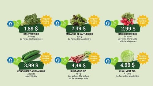 Circulaire Coop Alentour présentant six produits biologiques du Québec. En haut à gauche, le kale vert bio est à 1,89 $ l'unité (régulier membre : 3,79 $), de La Ferme Bio-Maraîchère. Au centre, le mélange de laitues bio (300 g) est à 2,49 $ (régulier membre : 3,99 $), de La Ferme Bio-Maraîchère. À droite, les radis rouges bio en botte sont à 2,99 $ (régulier membre : 3,49 $), de La Ferme Way's Mills et La Boîte à Légumes. En bas à gauche, le concombre anglais bio est à 3,99 $ l'unité (régulier membre : 4,29 $), de L'Abri-Végétal. Au centre, la rhubarbe bio (454 g) est à 4,49 $ (régulier membre : 5,49 $), des Vallons Maraîchers et La Ferme Way's Mills. Enfin, à droite, le chou vert bio est à 4,99 $ l'unité (régulier membre : 5,49 $), de La Ferme Bio-Maraîchère.