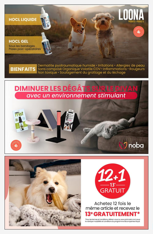 Circulaire Animo etc - Page 8. La page est divisée en trois sections. La première section met en avant les produits Loona, un produit d'ici, avec le HOCL Liquide et le HOCL Gel. Le gel est spécifiquement recommandé pour les bandages et les plaies post-opératoires. Les bienfaits mentionnés incluent le traitement de la dermatite pyotraumatique humide, des irritations, des allergies de peau, des inflammations et des rougeurs. Il est sans composé organique volatile, non toxique et soulage le grattage et le léchage. Deux chiens courent sur un chemin en arrière-plan. La deuxième section, intitulée "Diminuer les dégâts sur le divan avec un environnement stimulant", présente des produits Noba, également un produit d'ici. On y voit un spray Noba Mist, un arbre à chat avec poteau à griffer rose, un arbre à chat en forme de maisonnette triangulaire et un griffoir mural hexagonal. Un chat gris est allongé sur un canapé en arrière-plan. La troisième section promeut une offre "12+1 GRATUIT" : achetez 12 fois le même article et recevez le 13e gratuitement. Un chien blanc et beige mâche une gâterie sur une couverture.