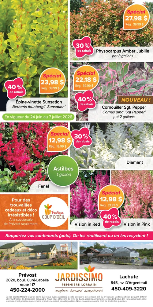 Circulaire Jardissimo - Page 4. La page présente des offres sur diverses plantes. En haut à gauche, l'Épine-vinette Sunsation (Berberis thunbergii 'Sunsation') est à 23,98 $ (rég. 39,99 $), soit 40 % de rabais. En haut à droite, le Physocarpus Amber Jubilie, pot de 3 gallons, est à 27,98 $ (rég. 39,99 $), soit 30 % de rabais. Au centre, le nouveau Cornouiller Sgt. Pepper (Cornus alba 'Sgt Pepper'), pot de 2 gallons, est à 22,18 $ (rég. 39,99 $), soit 40 % de rabais. La section centrale propose des Astilbes, pot de 1 gallon, à 12,98 $ (rég. 18,99 $), soit 30 % de rabais. Les variétés incluent Fanale (rose foncé), Diamant (blanc), Vision in Red (magenta) et Vision in Pink (rose pâle). Un encart invite à découvrir des trouvailles cadeaux et déco irrésistibles à la Boutique Coup d'Oeil, disponible à la succursale de Prévost seulement. Un message encourage à rapporter les contenants (pots) pour réutilisation ou recyclage. Les adresses des succursales sont : Prévost au 2820, boul. Curé-Labelle, route 117 (tél. 450-224-2000) et Lachute au 545, av. D'Argenteuil (tél. 450-409-3220). La circulaire est en vigueur du 24 juin au 7 juillet 2026.