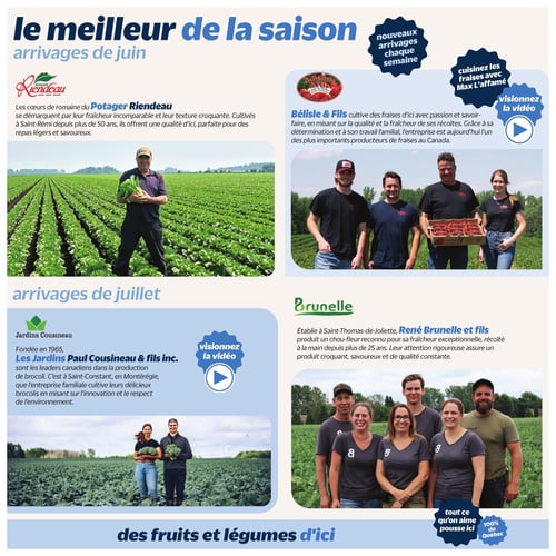 Circulaire Metro - Page 2. La page est intitulée "le meilleur de la saison" et met en avant les "arrivages de juin" et "arrivages de juillet" de fruits et légumes d'ici. Pour les arrivages de juin, le Potager Riendeau est présenté comme producteur de cœurs de romaine à Saint-Rémi depuis plus de 50 ans, illustré par un homme tenant de la laitue dans un champ. Bélisle & Fils, cultivateurs de fraises du Québec, sont également mis en vedette avec une photo d'une famille dans un champ de fraises, tenant une caisse de fruits. Des bulles informatives mentionnent "nouveaux arrivages chaque semaine", "cuisinez les fraises avec Max l'affamé" et une invitation à "visionnez la vidéo". Pour les arrivages de juillet, Les Jardins Paul Cousineau & fils inc. sont décrits comme leaders canadiens dans la production de brocoli à Saint-Constant, avec une photo d'un homme et une femme dans un champ de brocoli, et une invitation à "visionnez la vidéo". Enfin, René Brunelle et fils de Saint-Thomas-de-Joliette sont présentés pour leur chou-fleur récolté à la main depuis plus de 25 ans, avec une photo d'une équipe dans un champ de chou-fleur. Un bandeau en bas de page indique "des fruits et légumes d'ici", "tout ce qu'on aime pousse ici" et "100% du Québec".