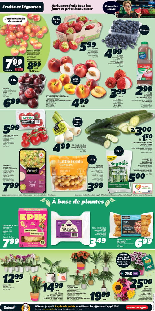 Circulaire IGA Coop Nouveau Brunswick - Page 3. La page est dédiée aux fruits et légumes frais, aux produits à base de plantes et aux fleurs. Dans la section des fruits et légumes, on trouve des cerises Rainier à 7,99 $ la livre avec carte Scène ou 8,99 $ la livre sans carte. Les fraises du Québec sont offertes en panier de 1 litre à 5,99 $. Les bleuets du Canada ou des États-Unis sont à 4,99 $. Le jus ou cocktail de fruits ou limonade Tradition de 1,5 litre est à partir de 2,99 $. Les prunes des États-Unis de 907 g (2 livres) sont à 6,99 $. Les nectarines ou pêches jaunes ou blanches des États-Unis sont à 4,99 $ la livre. Les litchis de Chine sont à 3,99 $ la livre. Côté légumes, les tomates cocktail sur vigne Savoura de 454 g sont à 5,99 $. L'ail frais sur tige du Québec de 200 g est à 4,99 $. Les concombres sans pépins du Québec sont à 2 pour 3,00 $ ou 1,50 $ chacun. Le mélange de laitues avec garnitures Attitude fraîche de 318 à 413 g est à 7,99 $. Les pommes de terre grelots Little Potato Company de 680 g sont à 3,99 $. Les courgettes vertes ou le mélange de courgettes vertes et jaunes Vegibec de 680 g sont à 5,00 $. La section des produits à base de plantes propose le tofu fumé Épik Eats saveur Général Tao de 255 g à partir de 7,99 $. Le tofu biologique Soyarie extra ferme de 350 g ou 454 g est à 3,49 $. Les saucisses à base de plantes Field Roast saveur ail italien et fenouil de 368 g sont à 6,99 $. Enfin, la section des fleurs et plantes inclut des orchidées en pot de 7,6 cm (3 po) à 12,99 $, des lys Calla ou plantes vertes en pot de 10,2 cm (4 po) à 14,99 $, et des bromélias, dracaenas, kalanchoes ou pacherra aquatiques en pot de 11,43 cm (4,5 po) ou 12,7 cm (5 po) à 19,99 $. Un bouquet thématique ou une plante Les Vacances en pot de 11,4 cm (4,5 po) est à 25,00 $ et donne 250 points Scène.