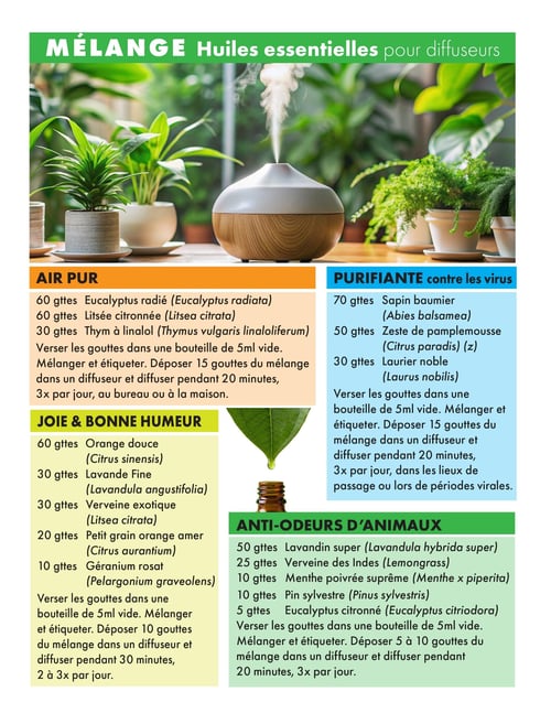 Circulaire Coopérative La Manne - Page 7. La page est dédiée aux mélanges d'huiles essentielles pour diffuseurs. Une grande image en haut montre un diffuseur en marche, entouré de plantes vertes. Quatre recettes de mélanges sont présentées. Le mélange "Air Pur" contient de l'eucalyptus radié, de la litsée citronnée et du thym à linalol. Le mélange "Purifiante contre les virus" est composé de sapin baumier, de zeste de pamplemousse et de laurier noble. Le mélange "Joie & Bonne Humeur" inclut de l'orange douce, de la lavande fine, de la verveine exotique, du petit grain orange amer et du géranium rosat. Enfin, le mélange "Anti-odeurs d'animaux" combine du lavandin super, de la verveine des Indes, de la menthe poivrée suprême, du pin sylvestre et de l'eucalyptus citronné. Pour chaque recette, des instructions détaillées sont fournies pour la préparation et la diffusion des huiles.