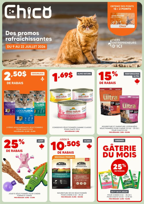 Circulaire Chico Boutique d'Animaux - Page 1. Valide du 9 au 22 juillet 2026. La page met en vedette un chat persan roux sur une plage, avec le titre "Des promos rafraîchissantes". En haut à droite, une promotion "Obtenez des points 1 $ = 2 points" est affichée avec une image de la Carte Privilège. La page est divisée en six sections d'offres. En haut à gauche, les litières agglomérantes sélectionnées Odourlock pour chats de 12 kg sont à 2,50 $ de rabais (prix régulier : 22,49 $ - 25,99 $). Au centre, les conserves sélectionnées Almo Nature gamme Classic pour chats de 70 g sont à 1,69 $ (prix régulier : 1,99 $). À droite, la nourriture et les garnitures lyophilisées sélectionnées Performatrin Ultra pour chiens (3,5 oz - 25 oz) et pour chats (5 oz) bénéficient de 15 % de rabais (prix régulier : 7,99 $ - 69,99 $). En bas à gauche, les jouets sélectionnés Jump! pour chiens de formats variés sont à 25 % de rabais (prix régulier : 4,99 $ - 27,99 $). Au centre, la nourriture sèche sélectionnée Acana pour chiens de 4 lb à 25 lb offre jusqu'à 10,50 $ de rabais sur les nouveaux produits (prix régulier : 31,99 $ - 120,99 $). Enfin, à droite, la "Gâterie du mois" Greenies propose 25 % de rabais sur les gâteries pour chiens (6 oz - 36 oz) et pour chats (1,6 oz - 9,75 oz), valide du 1er au 31 juillet (prix régulier : 4,49 $ - 52,99 $).