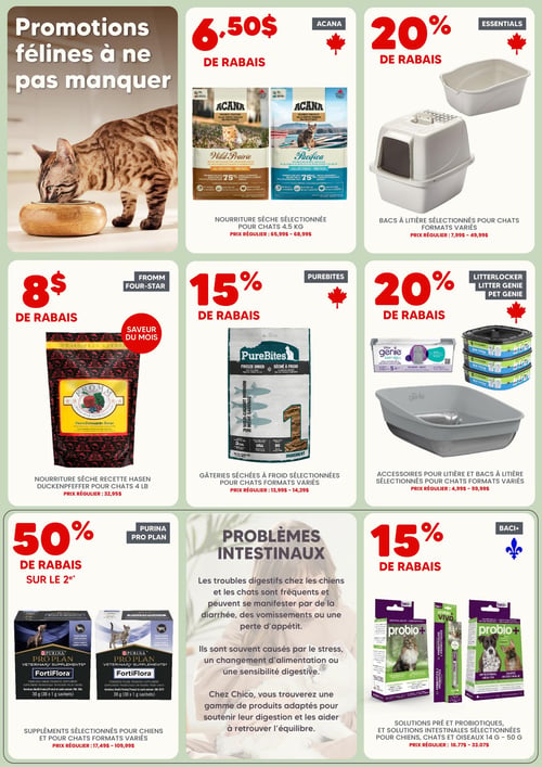 Circulaire Chico Boutique d'Animaux - Page 2. La page met en avant des "Promotions félines à ne pas manquer".
En haut à gauche, la nourriture sèche sélectionnée Acana pour chats de 4,5 kilogrammes est offerte avec 6,50 $ de rabais. Prix régulier : de 65,99 $ à 68,99 $.
En haut à droite, les bacs à litière Essentials sélectionnés pour chats, en formats variés, bénéficient de 20 % de rabais. Prix régulier : de 7,99 $ à 49,99 $.
Au centre gauche, la nourriture sèche Fromm Four-Star recette Hasen Duckenpfeffer pour chats de 4 livres, saveur du mois, est proposée avec 8 $ de rabais. Prix régulier : 32,95 $.
Au centre, les gâteries séchées à froid Purebites sélectionnées pour chats, en formats variés, sont à 15 % de rabais. Prix régulier : de 13,99 $ à 14,29 $.
Au centre droit, les accessoires pour litière et bacs à litière LitterLocker, Litter Genie et Pet Genie sélectionnés pour chats, en formats variés, sont à 20 % de rabais. Prix régulier : de 4,99 $ à 59,99 $.
En bas à gauche, les suppléments Purina Pro Plan FortiFlora sélectionnés pour chiens et chats, en formats variés, sont à 50 % de rabais sur le deuxième produit. Prix régulier : de 17,49 $ à 109,99 $.
Au centre en bas, une section informative intitulée "Problèmes intestinaux" explique les troubles digestifs fréquents chez les chiens et les chats, leurs causes (stress, changement d'alimentation, sensibilité) et comment Chico Boutique d'Animaux propose des produits pour soutenir leur digestion.
En bas à droite, les solutions pré et probiotiques Baci+ et solutions intestinales sélectionnées pour chiens, chats et oiseaux, de 14 grammes à 50 grammes, sont à 15 % de rabais. Prix régulier : de 16,77 $ à 33,07 $.