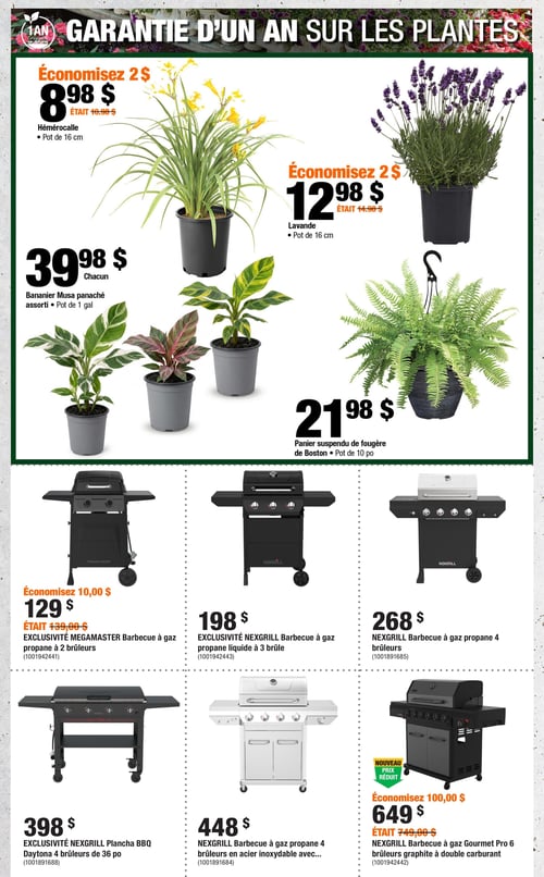 Circulaire Home Depot - Page 5. La page met en avant une garantie d'un an sur les plantes. On y trouve une hémérocalle en pot de 16 cm à 8,98 $ (était 10,98 $, économisez 2 $), une lavande en pot de 16 cm à 12,98 $ (était 14,98 $, économisez 2 $), un bananier Musa panaché assorti en pot de 1 gallon à 39,98 $ chacun, et un panier suspendu de fougère de Boston en pot de 10 pouces à 21,98 $. La partie inférieure présente une sélection de barbecues et planchas à gaz. Un barbecue à gaz propane Megamaster à 2 brûleurs est à 129 $ (était 139,00 $, économisez 10,00 $). Un barbecue à gaz propane liquide Nexgrill à 3 brûleurs est à 198 $. Un barbecue à gaz propane Nexgrill à 4 brûleurs est à 268 $. Une plancha BBQ Nexgrill Daytona de 36 pouces à 4 brûleurs est à 398 $. Un barbecue à gaz propane Nexgrill à 4 brûleurs en acier inoxydable est à 448 $. Enfin, un barbecue à gaz Nexgrill Gourmet Pro 6 brûleurs graphite à double carburant est offert à 649 $ (nouveau prix réduit, était 749,00 $, économisez 100,00 $).