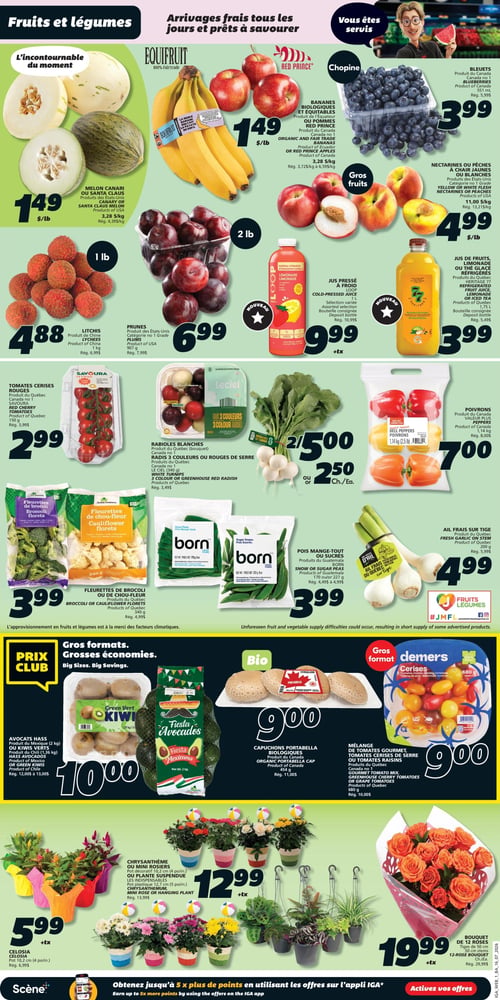 Circulaire IGA Coop Nouveau Brunswick - Page 3. La page est dédiée aux fruits, légumes et fleurs. En haut, on trouve le melon Canari ou Santa Claus à 1,49 $ la livre, les bananes biologiques et équitables Equifruit ou les pommes Red Prince à 1,49 $ la livre, les bleuets à 3,99 $ la chopine, et les nectarines ou pêches à chair jaune ou blanche à 4,99 $ la livre. Plus bas, les litchis sont à 4,88 $ la livre et les prunes à 6,99 $ le paquet de 907 g. Deux jus sont offerts : le jus pressé à froid Loop de 1 L à 9,99 $ plus taxes, et le jus, limonade ou thé glacé réfrigérés Heritage 77 de 1,75 L à 3,99 $. La section des arrivages frais propose les tomates cerises rouges Savoura de 150 g à 2,99 $, les rabioles blanches, radis 3 couleurs ou radis rouges de serre Leciel à 2 pour 5,00 $ ou 2,50 $ chacun, et les poivrons de 1,14 kg à 7,00 $. On trouve aussi les fleurettes de brocoli ou de chou-fleur de 340 g à 3,99 $, les pois mange-tout ou sucrés Born de 170 g ou 227 g à 3,99 $, et l'ail frais sur tige de 200 g à 4,99 $. La section "Prix Club" pour les gros formats inclut les avocats Hass de 2 kg ou les kiwis verts de 1,36 kg à 10,00 $, les capuchons portabella biologiques de 454 g à 9,00 $, et le mélange de tomates gourmet, tomates cerises de serre ou tomates raisins Demers de 680 g à 9,00 $. Enfin, des fleurs sont en promotion : le celosia en pot de 10,2 cm à 5,99 $ plus taxes, le chrysanthème ou mini rosiers en pot décoratif de 10,2 cm ou les plantes suspendues en pot plastique de 12,7 cm à 12,99 $ plus taxes, et un bouquet de 12 roses de 50 cm à 19,99 $ plus taxes.