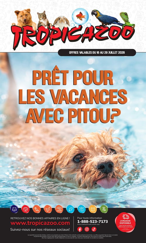 Circulaire Tropicazoo - Page 1. La page couverture présente le logo "Tropicazoo" en rouge vif, entouré d'illustrations d'animaux : un chien, un chat, un lapin, un poisson rouge dans une bulle, un ara et un lézard. Une bande noire indique "OFFRES VALABLES DU 16 AU 29 JUILLET 2026". La majeure partie de la page est occupée par une grande photo d'un chien à poil long nageant dans une piscine, avec le texte orange superposé "PRÊT POUR LES VACANCES AVEC PITOU?". En bas de page, des icônes colorées représentent différentes catégories d'animaux de compagnie. On y trouve l'adresse du site web "www.tropicazoo.com", l'invitation à suivre les réseaux sociaux (Facebook, Instagram, TikTok), un numéro de téléphone pour information (1-888-523-7173) et la mention de 4 succursales sur la Rive-Sud. Un encadré rouge indique "LIVRAISON DISPONIBLE pour tout achat de 100 $ et plus avant taxes", avec la note "*Des frais de livraisons s'appliquent.". Le bas de page contient aussi le texte légal sur la disponibilité des quantités et les promotions.