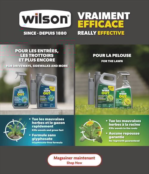 Produits Wilson pour le jardinage dans la Circulaire Home Hardware (page 26) Page 26 de la circulaire Home Hardware 'La Vie en Plein Air'. Présentation des produits Wilson pour le jardinage. À gauche, le produit 'Wipe Out', un désherbant qui tue les mauvaises herbes et le gazon rapidement, avec une formule sans glyphosate. À droite, le produit 'Weed Out', un désherbant pour la pelouse qui tue les mauvaises herbes à la racine sans garantie de repousse. Images accompagnées d'instructions descriptives sur l'utilisation des produits. Visuel attractif avec un appel à l'action 'Magasiner maintenant'.