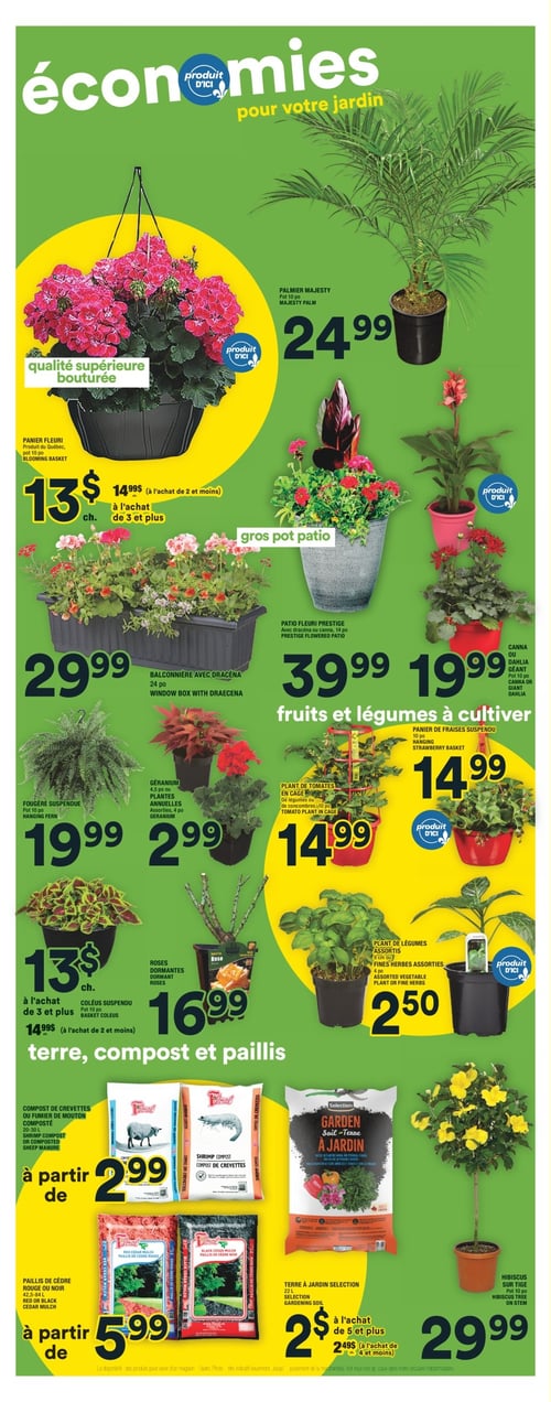Produits pour le jardin avec des offres intéressantes à la Circulaire Super C (page 16). Page 16 de la circulaire Super C, valide du 15 mai 2025 au 21 mai 2025. Produits pour le jardin : coléus suspendu à 13 $, roses dormantes à 16,99 $, palmier majesty à 24,99 $, balconnière avec dracéna à 29,99 $, plant de légumes assortis ou fines herbes à 2,50 $, panier de fraises suspendu à 14,99 $, plantes annuelles geranium à 2,99 $, hibiscus sur tige à 29,99 $, panier fleuri à 13 $, patio fleuri prestige à 39,99 $, canna ou dahlia géant à 19,99 $, plant de tomates en cage à 14,99 $, paillis de cèdre rouge ou noir à 5,99 $, fougère suspendue à 19,99 $, compost de crevettes ou fumier de mouton composté à 2,99 $, terre à jardin sélection à 2,00 $.