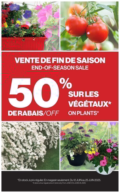 Vente de fin de saison sur végétaux chez Patrick Morin dans la Circulaire (page 3) Circulaire de Patrick Morin, vente de fin de saison avec 50 % de rabais sur les végétaux. L'image présente des arrangements floraux colorés, des plants de tomates et d'autres plantes variées. Cette promotion est valide du 12 juin au 25 juin 2025, en magasin seulement, à prix régulier.