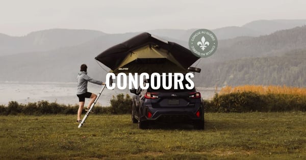Concours Wildtek