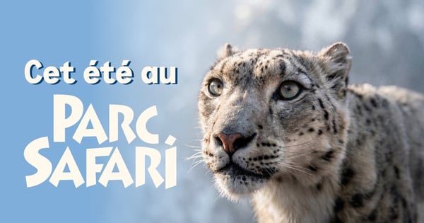 Concours Rythme FM 105,7 ( Montréal)
