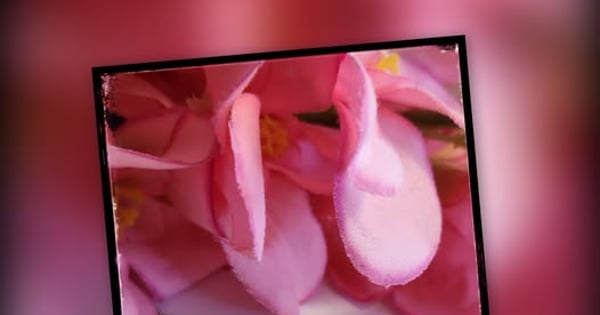 Concours Au Mille et Un Caprice de Yasmina par Céline Bérubé