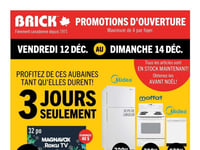 Afficher Circulaire Brick Première page de Circulaire Brick