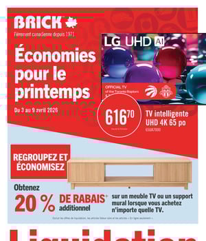 Première page de Circulaire Brick - Économies pour le printemps
