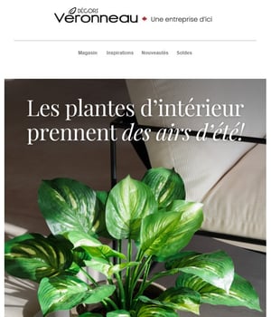 Image Promotionnelle: Les plantes d’intérieur prennent des airs d’été!