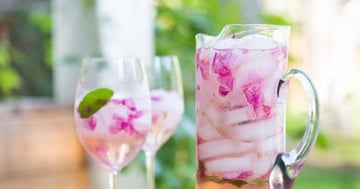 Rose Sangria de Pétale
