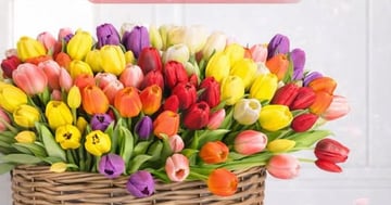 Concours Gagnez un bouquet de tulipes super réaliste!