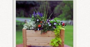 Concours Gagnez un bac en cèdre 14x19 Déco-Cèdres!