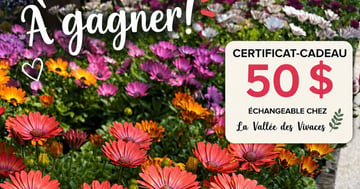 Concours Gagnez un certificat-cadeau de 50$ La vallée des vivaces!