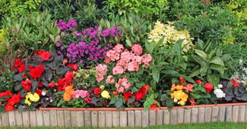 Concours Gagnez 100$ de fleurs!