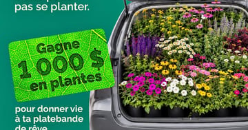 Concours Gagnez 1000$ en plantes Lemay!
