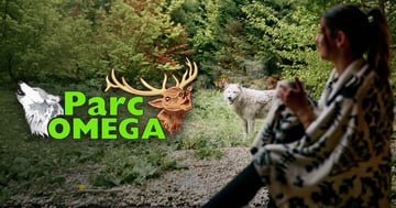 Concours Rythme 105,7 Gagnez votre forfait familial pour le parc Oméga!