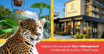 Concours Gagnez votre escapade familiale au zoo et à l'Hôtel Castel!