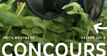 Concours Gagnez une paire de lunettes smithoptics Westward!