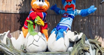 Concours La Ronde et le Fan Club des Canadiens offre une paire de billets le match des Canadiens de Montréal le 12 octobre prochain au Centre Bell !