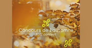 Concours Miel au Carré - Gagnez un ensemble-cadeau!