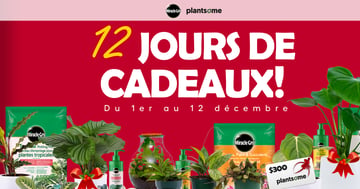 Concours Miracle-Gro & Plantsome - 12 jours de cadeaux!