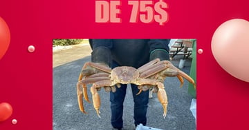 Concours PAT de crabes et crevettes - une carte cadeau de 75 $ valable dans tous nos kiosques au Québec