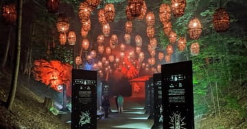 Concours Gagnez une nuitée pour 2 personnes au Studio Lumina avec 2 entrées pour Foresta Lumina