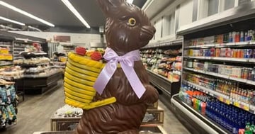 Concours L'intermarché St-Vallier - Gagnez un lapin géant de 3400g d’une valeur de 179,99$!