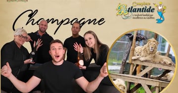 Concours 5e anniversaire Champagne - Architecte de Votre Croissance!