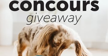 Concours Beonebreed - Gagnez un OBEE! Snak pour divertir votre compagnon!