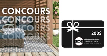 Concours GAGNER une carte-cadeau de 200 $ du Centre du Peintre + une guirlande DALS lumineuse Orion 48′ d’une valeur de plus de 250 $