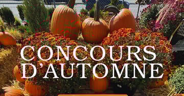 Concours D’AUTOMNE CHARBONNEAU L’EXPERT!